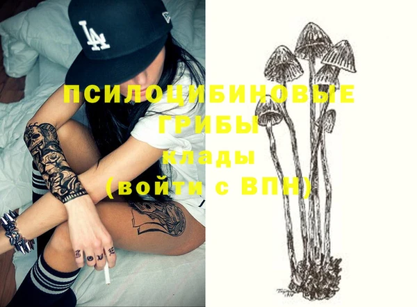 2c-b Нефтекумск