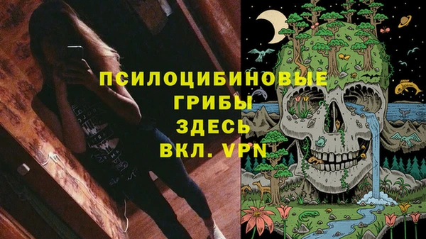 ALPHA-PVP Белокуриха